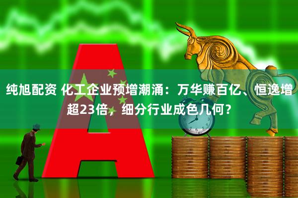 纯旭配资 化工企业预增潮涌：万华赚百亿、恒逸增超23倍，细分行业成色几何？
